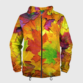 Мужская ветровка 3D с принтом Осенние листья в Белгороде, 100% полиэстер | подол и капюшон оформлены резинкой с фиксаторами, два кармана без застежек по бокам, один потайной карман на груди | клён | краски | листья | осень | радуга | разноцветный | яркая