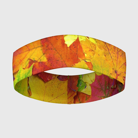 Повязка на голову 3D с принтом Осенние листья в Санкт-Петербурге,  |  | клён | краски | листья | осень | радуга | разноцветный | яркая