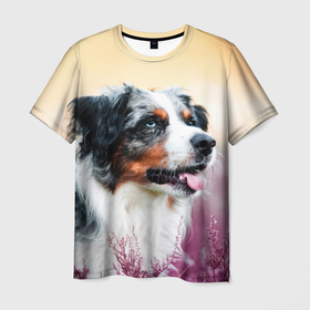 Мужская футболка 3D с принтом Австралийская Овчарка в Екатеринбурге, 100% полиэфир | прямой крой, круглый вырез горловины, длина до линии бедер | dog | австралийская | животные | овчарка | пес | природа | собака | собаки | собакчка | собачки