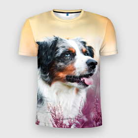 Мужская футболка 3D Slim с принтом Австралийская Овчарка в Новосибирске, 100% полиэстер с улучшенными характеристиками | приталенный силуэт, круглая горловина, широкие плечи, сужается к линии бедра | dog | австралийская | животные | овчарка | пес | природа | собака | собаки | собакчка | собачки