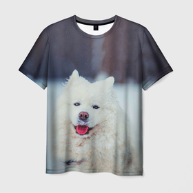 Мужская футболка 3D с принтом САМОЕД в Кировске, 100% полиэфир | прямой крой, круглый вырез горловины, длина до линии бедер | animals | dog | winter | домашние | друг | животные | звери | зима | лайка | пес | песель | природа | пушистый | самоед | собаки | собачка | хаски
