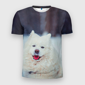 Мужская футболка 3D спортивная с принтом САМОЕД в Белгороде, 100% полиэстер с улучшенными характеристиками | приталенный силуэт, круглая горловина, широкие плечи, сужается к линии бедра | animals | dog | winter | домашние | друг | животные | звери | зима | лайка | пес | песель | природа | пушистый | самоед | собаки | собачка | хаски