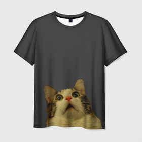Мужская футболка 3D с принтом Котэ смотрит вверх в Белгороде, 100% полиэфир | прямой крой, круглый вырез горловины, длина до линии бедер | cat | up | вверх | кот | подглядывание | удивление
