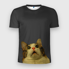 Мужская футболка 3D спортивная с принтом Котэ смотрит вверх в Тюмени, 100% полиэстер с улучшенными характеристиками | приталенный силуэт, круглая горловина, широкие плечи, сужается к линии бедра | cat | up | вверх | кот | подглядывание | удивление