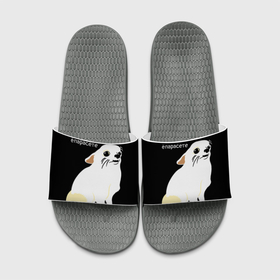 Шлепанцы с принтом ёпарасете ,  |  | baby | dog | emoji | lol | what | белая собака | в смысле | взгляд | глаза | домашние животные | животные | малыш | мем | мордочка | мультяшный | пёсик | прикол | проблемы | собака | собака мем | собачка | чихуахуа