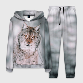 Мужской костюм 3D с принтом Рысь в Новосибирске, 100% полиэстер | Манжеты и пояс оформлены тканевой резинкой, двухслойный капюшон со шнурком для регулировки, карманы спереди | cat | животные | звири | кис | киска | кот | котейка | котик | коты | котяра | кошка | кошки | природа | рысь