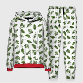 Мужской костюм 3D (с толстовкой) с принтом папоротник в Ухте,  |  | Тематика изображения на принте: paporotnik | абстракция | зеленый | лето | листья | пляж | простота | узор