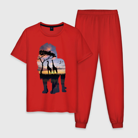 Мужская пижама хлопок с принтом Лев в Новосибирске, 100% хлопок | брюки и футболка прямого кроя, без карманов, на брюках мягкая резинка на поясе и по низу штанин
 | lion | sovanna | африка | большаякошка | кошка | лев | мода | небо | саванна | стиль