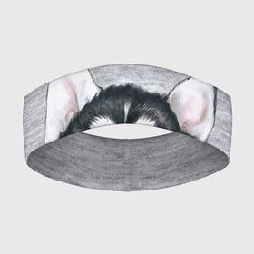 Повязка на голову 3D с принтом Хаски в Тюмени,  |  | гладить собаку | животные | пёс | пёсики | серый фон | сибирский хаски | собаки | хаски