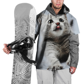 Накидка на куртку 3D с принтом серый котенок , 100% полиэстер |  | grey kitten | kitten | котенок | милый котенок | серый котенок