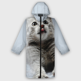Дождевик унисекс 3D с принтом серый котенок в городе Новоалтайск,  |  | grey kitten | kitten | котенок | милый котенок | серый котенок