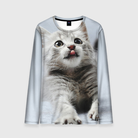 Мужской лонгслив 3D с принтом серый котенок в Петрозаводске, 100% полиэстер | длинные рукава, круглый вырез горловины, полуприлегающий силуэт | grey kitten | kitten | котенок | милый котенок | серый котенок