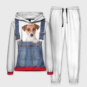 Мужской костюм 3D (с толстовкой) с принтом ЩЕНОК В КАРМАШКЕ в Курске,  |  | Тематика изображения на принте: dog | jeans | packet | гав | джинсовый | дружок | животные | звери | карман | комбинезон | ломашние | одежда | пес | собака | щенок