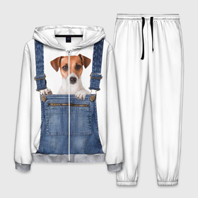 Мужской костюм 3D с принтом ЩЕНОК В КАРМАШКЕ в Новосибирске, 100% полиэстер | Манжеты и пояс оформлены тканевой резинкой, двухслойный капюшон со шнурком для регулировки, карманы спереди | dog | jeans | packet | гав | джинсовый | дружок | животные | звери | карман | комбинезон | ломашние | одежда | пес | собака | щенок
