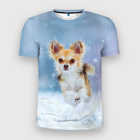 Мужская футболка 3D спортивная с принтом Чихуахуа в снегу в Санкт-Петербурге, 100% полиэстер с улучшенными характеристиками | приталенный силуэт, круглая горловина, широкие плечи, сужается к линии бедра | dog | животные | зима | пес | природа | снег | собака | собаки | собакчка | собачки | чихуа хуа | чихуахуа