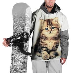 Накидка на куртку 3D с принтом котёнок в Новосибирске, 100% полиэстер |  | Тематика изображения на принте: cute kitten | kitten | котёнок | красивый котёнок | милый котёнок