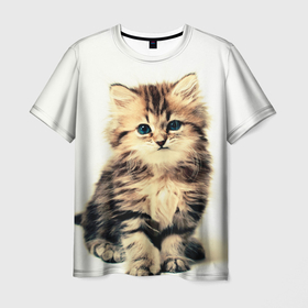 Мужская футболка 3D с принтом котёнок в Кировске, 100% полиэфир | прямой крой, круглый вырез горловины, длина до линии бедер | cute kitten | kitten | котёнок | красивый котёнок | милый котёнок