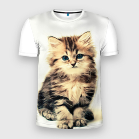 Мужская футболка 3D спортивная с принтом котёнок , 100% полиэстер с улучшенными характеристиками | приталенный силуэт, круглая горловина, широкие плечи, сужается к линии бедра | cute kitten | kitten | котёнок | красивый котёнок | милый котёнок