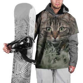 Накидка на куртку 3D с принтом Кошка , 100% полиэстер |  | животное | животные | звери | зверь | киса | киска | киски | кот | котики | коты | кошка | питомец | питомцы | природа | хищник | хищники