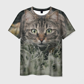 Мужская футболка 3D с принтом Кошка в Курске, 100% полиэфир | прямой крой, круглый вырез горловины, длина до линии бедер | животное | животные | звери | зверь | киса | киска | киски | кот | котики | коты | кошка | питомец | питомцы | природа | хищник | хищники