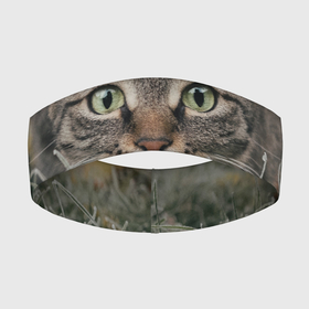 Повязка на голову 3D с принтом Кошка в Белгороде,  |  | животное | животные | звери | зверь | киса | киска | киски | кот | котики | коты | кошка | питомец | питомцы | природа | хищник | хищники