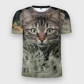 Мужская футболка 3D Slim с принтом Кошка в Курске, 100% полиэстер с улучшенными характеристиками | приталенный силуэт, круглая горловина, широкие плечи, сужается к линии бедра | Тематика изображения на принте: животное | животные | звери | зверь | киса | киска | киски | кот | котики | коты | кошка | питомец | питомцы | природа | хищник | хищники