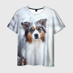 Мужская футболка 3D с принтом Австралийская овчарка в Екатеринбурге, 100% полиэфир | прямой крой, круглый вырез горловины, длина до линии бедер | Тематика изображения на принте: dog | австралийская | животные | овчарка | пес | природа | собака | собаки | собакчка | собачки