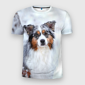 Мужская футболка 3D спортивная с принтом Австралийская овчарка в Новосибирске, 100% полиэстер с улучшенными характеристиками | приталенный силуэт, круглая горловина, широкие плечи, сужается к линии бедра | dog | австралийская | животные | овчарка | пес | природа | собака | собаки | собакчка | собачки
