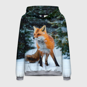 Мужская толстовка 3D с принтом Лиса в зимнем лесу в Новосибирске, 100% полиэстер | двухслойный капюшон со шнурком для регулировки, мягкие манжеты на рукавах и по низу толстовки, спереди карман-кенгуру с мягким внутренним слоем. | Тематика изображения на принте: fox | foxy | в | животные | звери | зима | зимний | зимняя | лес | лиса | лисичка | лисы | природа | снег | снежная