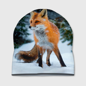 Шапка 3D с принтом Лиса в зимнем лесу в Белгороде, 100% полиэстер | универсальный размер, печать по всей поверхности изделия | Тематика изображения на принте: fox | foxy | в | животные | звери | зима | зимний | зимняя | лес | лиса | лисичка | лисы | природа | снег | снежная