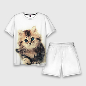Мужской костюм с шортами 3D с принтом катёнок в Кировске,  |  | Тематика изображения на принте: cute kitten | kitten | котёнок | красивый котёнок | милый котёнок