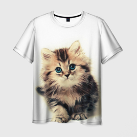 Мужская футболка 3D с принтом катёнок в Кировске, 100% полиэфир | прямой крой, круглый вырез горловины, длина до линии бедер | cute kitten | kitten | котёнок | красивый котёнок | милый котёнок