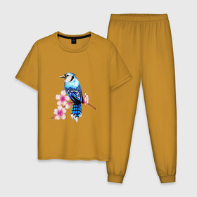 Мужская пижама хлопок с принтом Сойка на ветке в Новосибирске, 100% хлопок | брюки и футболка прямого кроя, без карманов, на брюках мягкая резинка на поясе и по низу штанин
 | арт | ветка дерева | веточка | веточка дерева | голубая сойка | рисунок | розовые цветы | розовый цветок | сакура | синяя птица ветка | синяя сойка | сойка | цветок | цветы