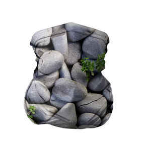 Бандана-труба 3D с принтом Камни в Кировске, 100% полиэстер, ткань с особыми свойствами — Activecool | плотность 150‒180 г/м2; хорошо тянется, но сохраняет форму | Тематика изображения на принте: абстрактно | абстрактные | абстрактный | абстракция | галька | каменные | каменный | камень | камни | камушки | клевер | природа | растения