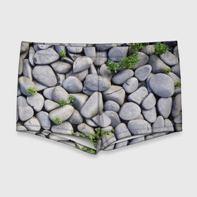 Мужские купальные плавки 3D с принтом Камни в Тюмени, Полиэстер 85%, Спандекс 15% |  | абстрактно | абстрактные | абстрактный | абстракция | галька | каменные | каменный | камень | камни | камушки | клевер | природа | растения
