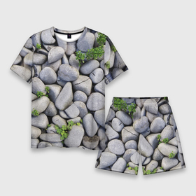 Мужской костюм с шортами 3D с принтом Камни в Екатеринбурге,  |  | абстрактно | абстрактные | абстрактный | абстракция | галька | каменные | каменный | камень | камни | камушки | клевер | природа | растения