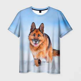 Мужская футболка 3D с принтом Овчарка и снег , 100% полиэфир | прямой крой, круглый вырез горловины, длина до линии бедер | dog | животные | зима | овчарка | пес | природа | снег | собака | собаки | собакчка | собачки