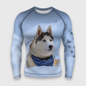 Мужской рашгард 3D с принтом Хаски в городе Новоалтайск,  |  | dog | животные | пес | природа | собака | собаки | собакчка | собачки | хаски