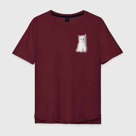 Мужская футболка хлопок Oversize с принтом Белый котик в Петрозаводске, 100% хлопок | свободный крой, круглый ворот, “спинка” длиннее передней части | белый | кот | котенок | котик | маленький | милый | пушистый