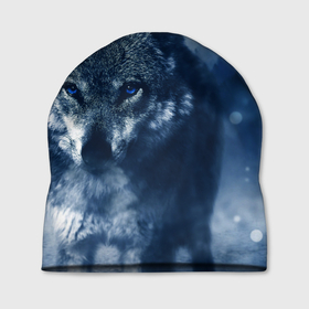 Шапка 3D с принтом Красивый волк , 100% полиэстер | универсальный размер, печать по всей поверхности изделия | wolf | ауф | волк | волчонок | зима | синеглазый волк