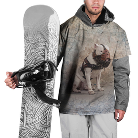 Накидка на куртку 3D с принтом Бойцовый бультерьер в Курске, 100% полиэстер |  | bull terrier | dog | ears | eyes | muzzle | paws | plaster | texture | wall | бультерьер | глаза | лапы | намордник | пёс | собака | стена | текстура | уши | штукатурка