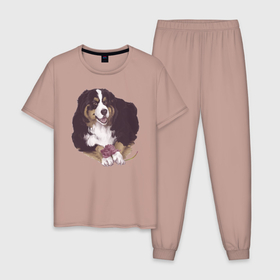 Мужская пижама хлопок с принтом собака с пионом в Кировске, 100% хлопок | брюки и футболка прямого кроя, без карманов, на брюках мягкая резинка на поясе и по низу штанин
 | Тематика изображения на принте: бернский зенненхунд | домашний любимец | иллюстрация | собачник