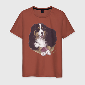 Мужская футболка хлопок с принтом собака с пионом в Новосибирске, 100% хлопок | прямой крой, круглый вырез горловины, длина до линии бедер, слегка спущенное плечо. | бернский зенненхунд | домашний любимец | иллюстрация | собачник