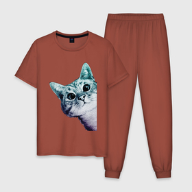 Мужская пижама хлопок с принтом Любопытный кот , 100% хлопок | брюки и футболка прямого кроя, без карманов, на брюках мягкая резинка на поясе и по низу штанин
 | cat | домашние животные | животные | звери | кат | кот | котенок | коты | кошка