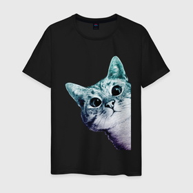 Мужская футболка хлопок с принтом Любопытный кот , 100% хлопок | прямой крой, круглый вырез горловины, длина до линии бедер, слегка спущенное плечо. | cat | домашние животные | животные | звери | кат | кот | котенок | коты | кошка