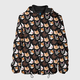 Мужская куртка 3D с принтом Много котов в Екатеринбурге, ткань верха — 100% полиэстер, подклад — флис | прямой крой, подол и капюшон оформлены резинкой с фиксаторами, два кармана без застежек по бокам, один большой потайной карман на груди. Карман на груди застегивается на липучку | Тематика изображения на принте: cat. кошаки | домашние животные | животные | звери | кат | кот | коты | кошак | кошечка | кошки | милый кот | морды | уши | ушки