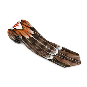 Галстук 3D с принтом оперение орел (2) в Кировске, 100% полиэстер | Длина 148 см; Плотность 150-180 г/м2 | feathers | plumage | бурый | друид | индеец | коричневый | оперение | оранжевый | орёл | пернатый | перо | перья | природа | птица | рыжий | сова | сон | ястреб