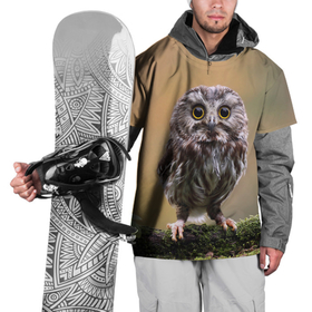 Накидка на куртку 3D с принтом СОВЕНОК в Тюмени, 100% полиэстер |  | animal | bird | животные | звери | лес | малыш | природа | птенец | птицы | сова | совенок