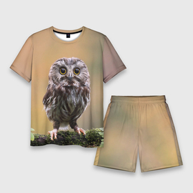 Мужской костюм с шортами 3D с принтом СОВЕНОК ,  |  | animal | bird | животные | звери | лес | малыш | природа | птенец | птицы | сова | совенок
