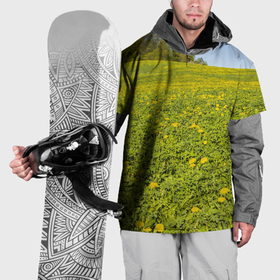 Накидка на куртку 3D с принтом Поле одуванчиков в Петрозаводске, 100% полиэстер |  | Тематика изображения на принте: 